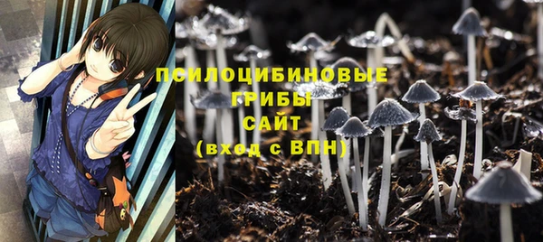 индика Пересвет