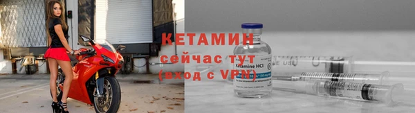 индика Пересвет