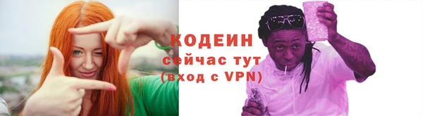 индика Пересвет