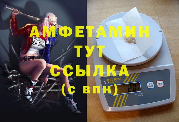 индика Пересвет