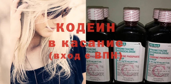 индика Пересвет