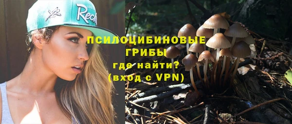индика Пересвет