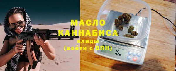индика Пересвет