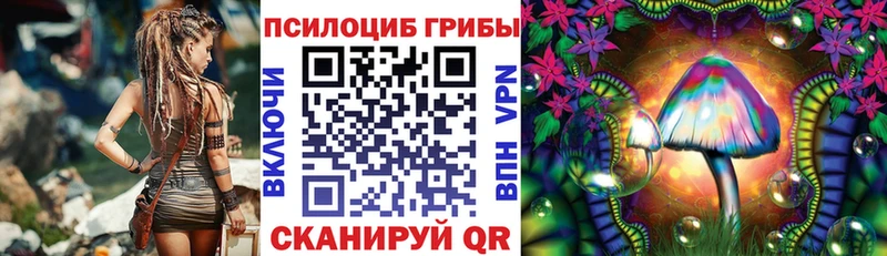 Купить закладки  Долинск  Галлюциногенные грибы прущие грибы 